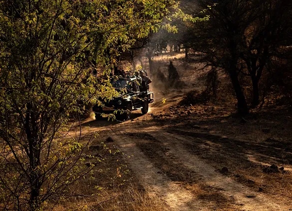 Ranthambore National Park